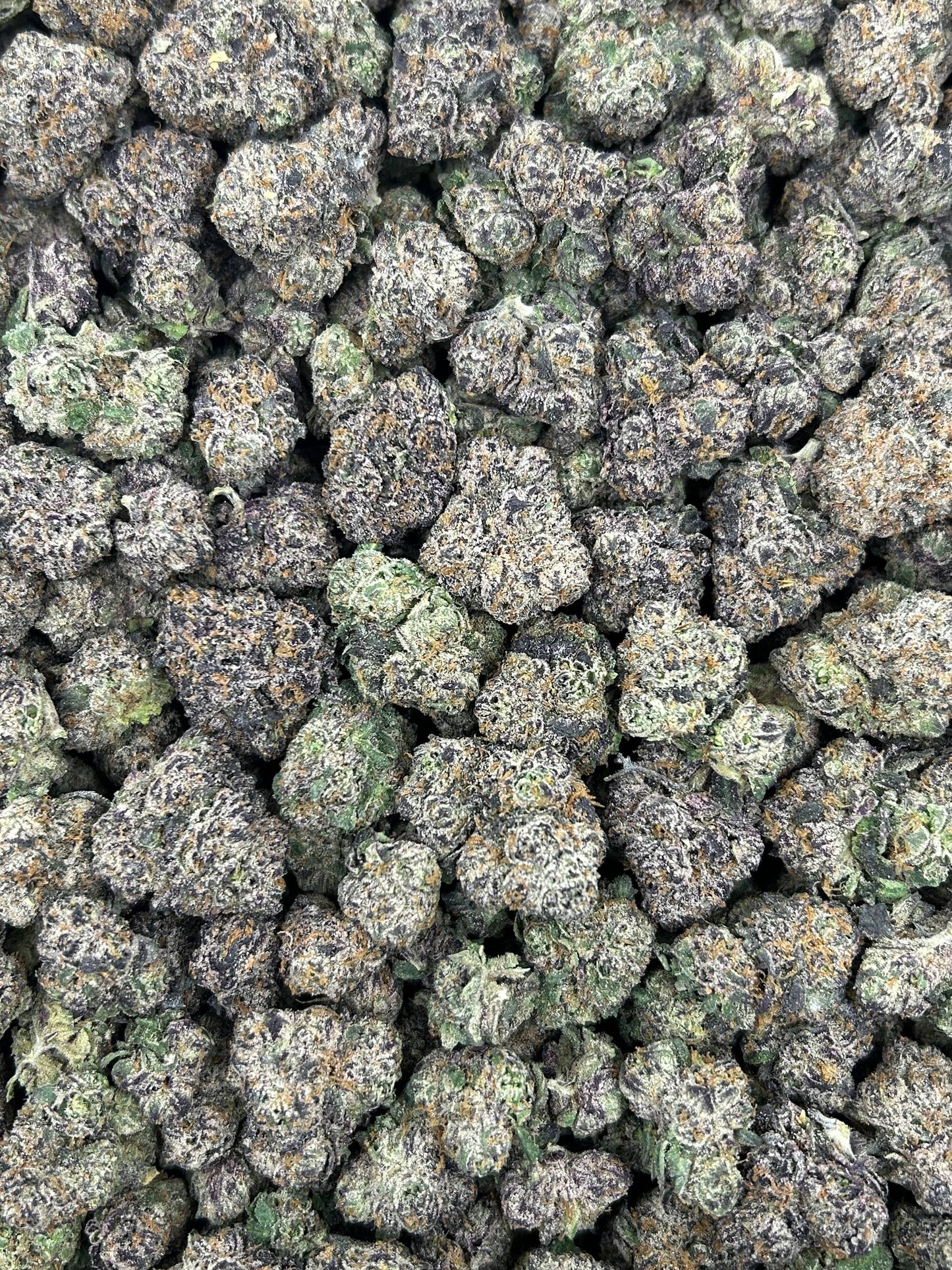 (#N-CH273) Purple Nectar Runtz (Sativa Hybrid)