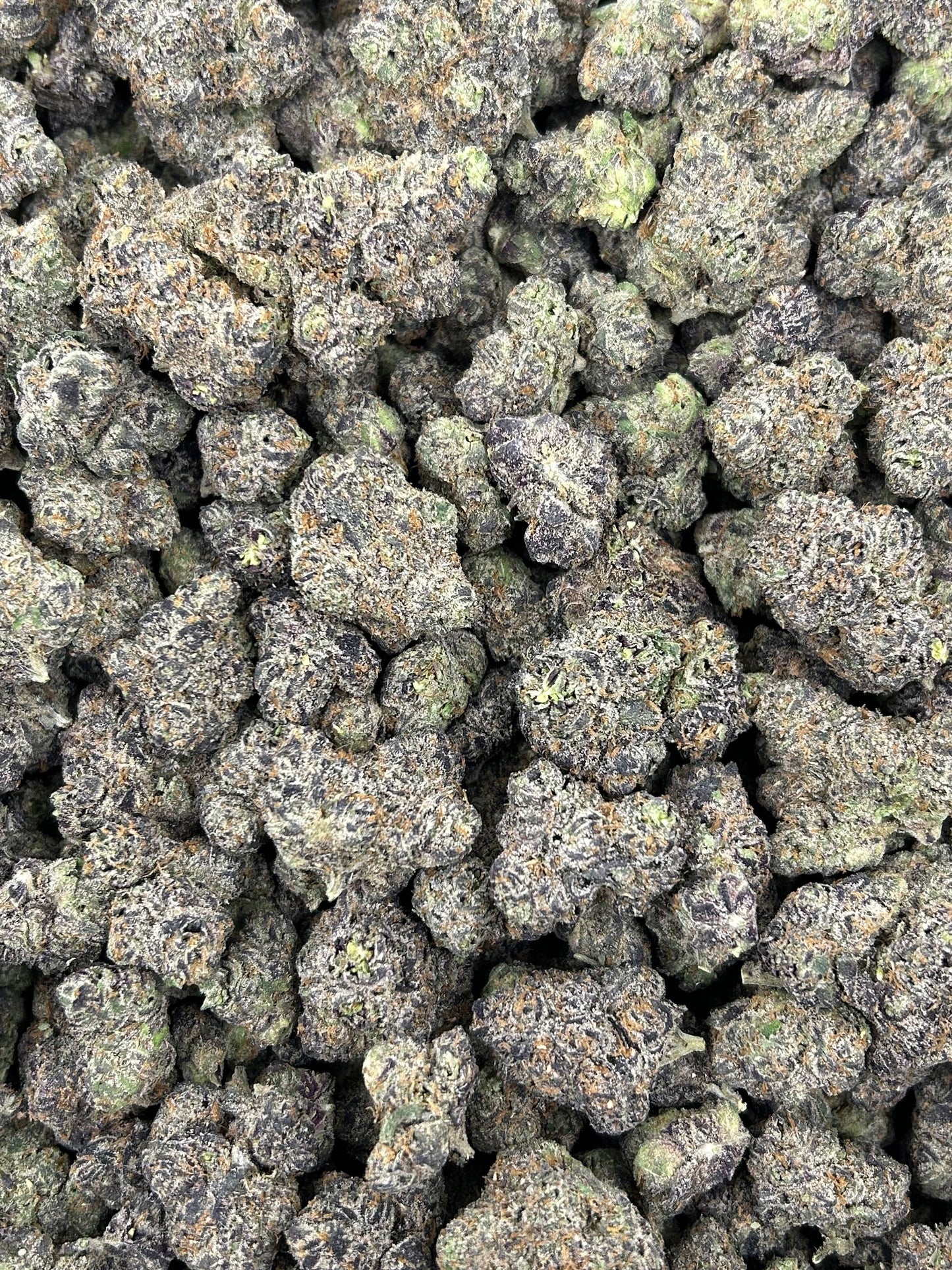 (#N-CH275) Gas Face (Hybrid)