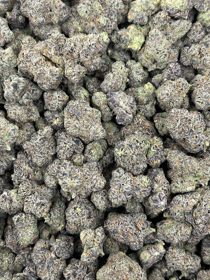 (#N-CH275) Gas Face (Hybrid)