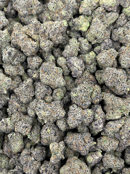 (#N-CH275) Gas Face (Hybrid)