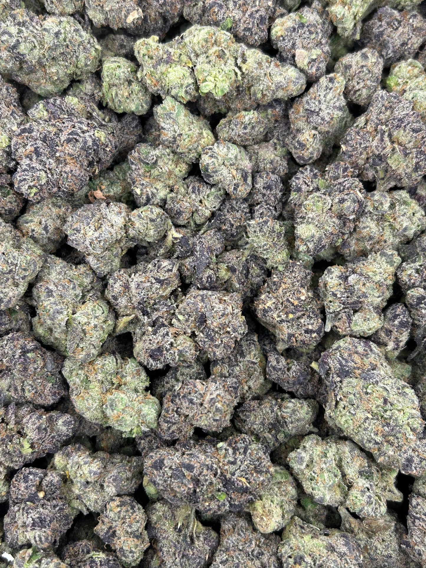 (#N-CH276) Bubblegum Popperz (Indica Hybrid)
