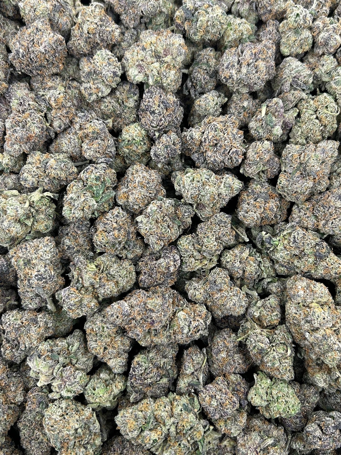 (#N-CM825) Vanilla Cone (Hybrid)