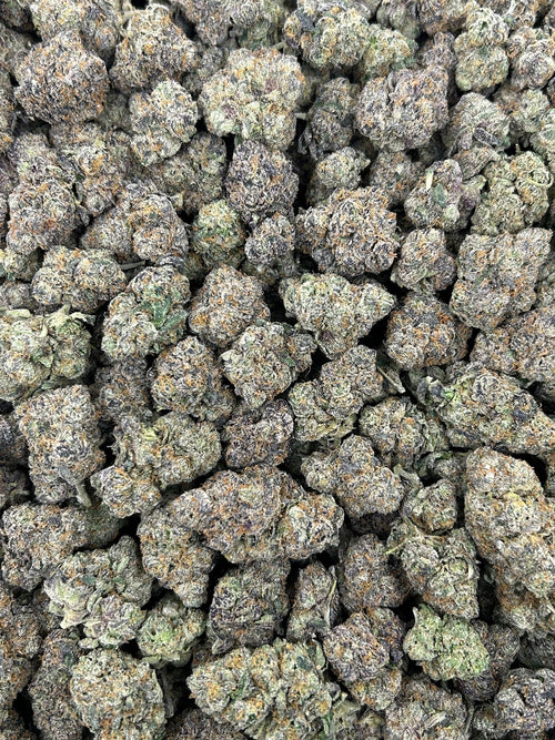 (#N-CM825) Vanilla Cone (Hybrid)