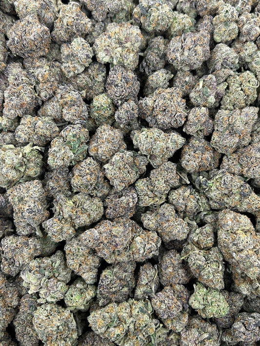 (#N-CM825) Vanilla Cone (Hybrid)