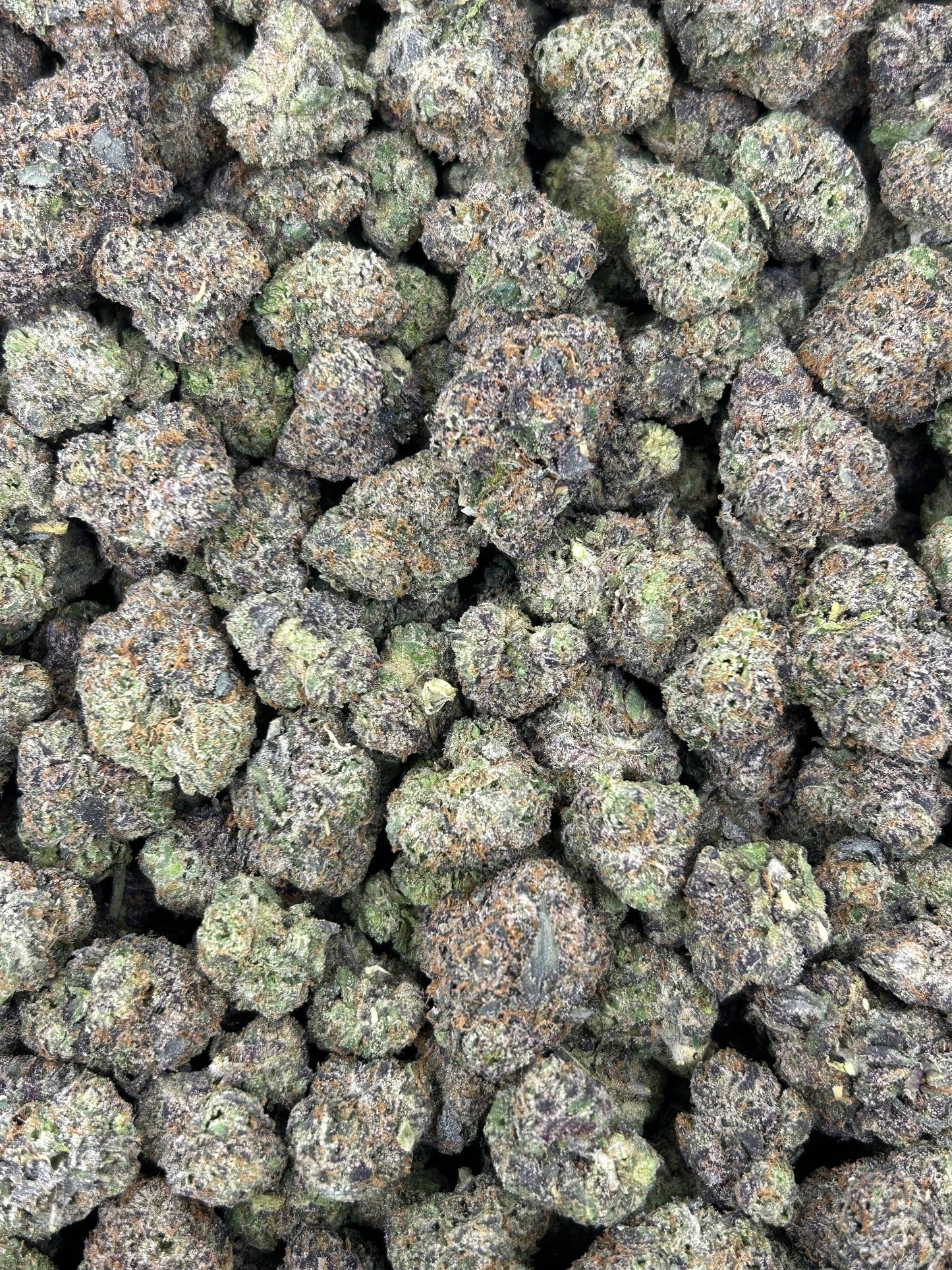 (#N-CM838) Space Cookiez (Hybrid)
