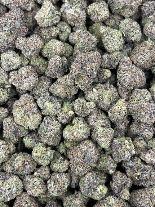 (#N-CM838) Space Cookiez (Hybrid)