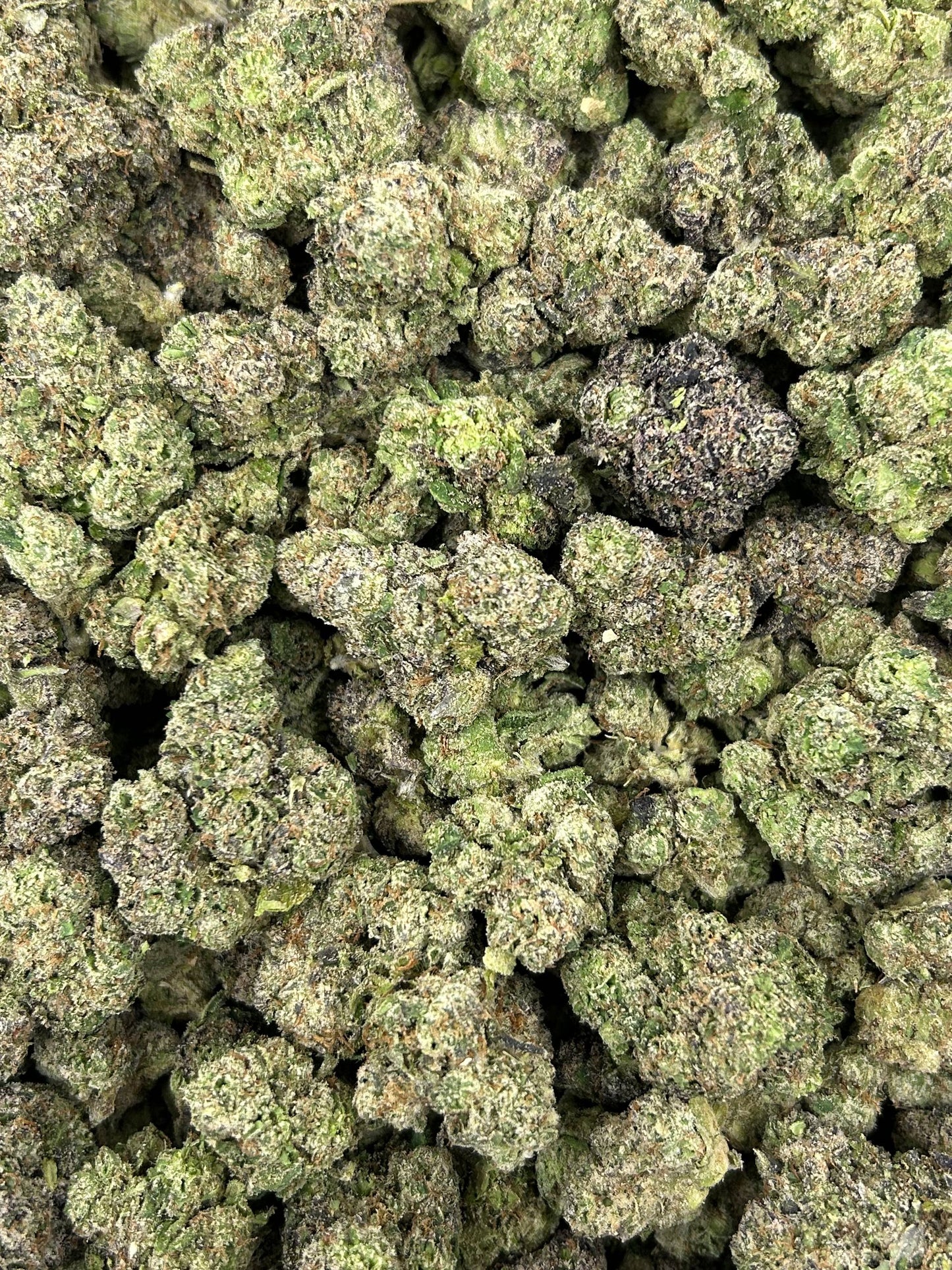 (#N-CM841) Cherry Crunch (Hybrid)
