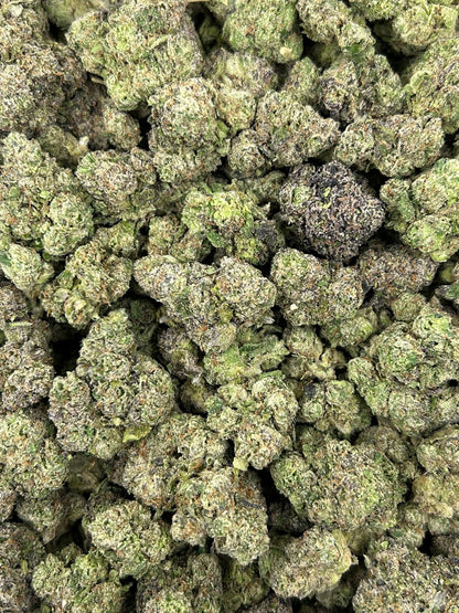 (#N-CM841) Cherry Crunch (Hybrid)