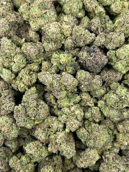 (#N-CM841) Cherry Crunch (Hybrid)