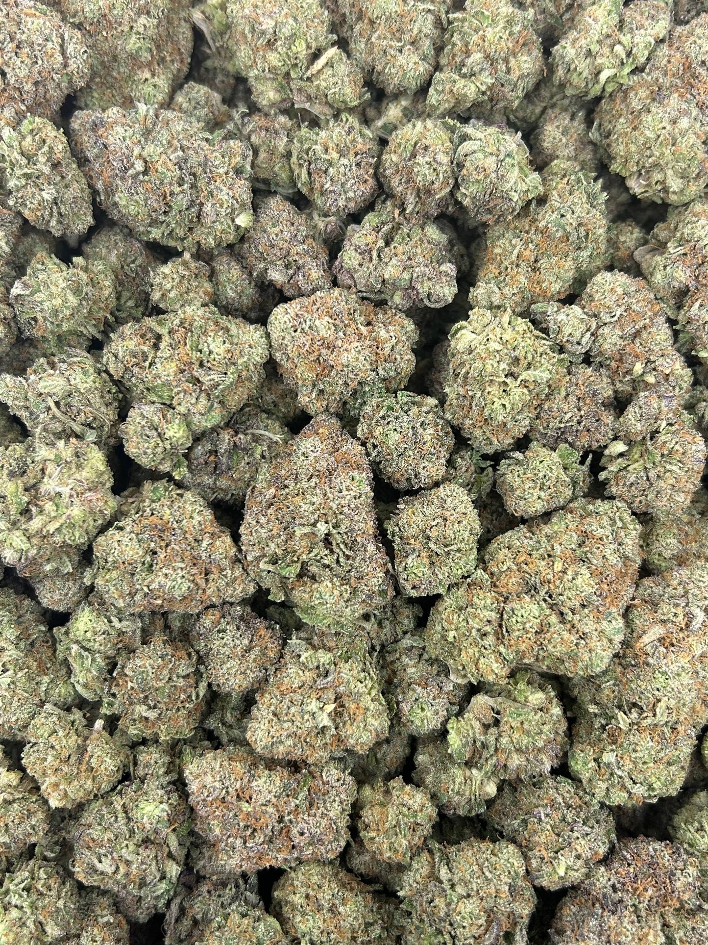 (#N-CM856) Mango Candy (Sativa Hybrid)