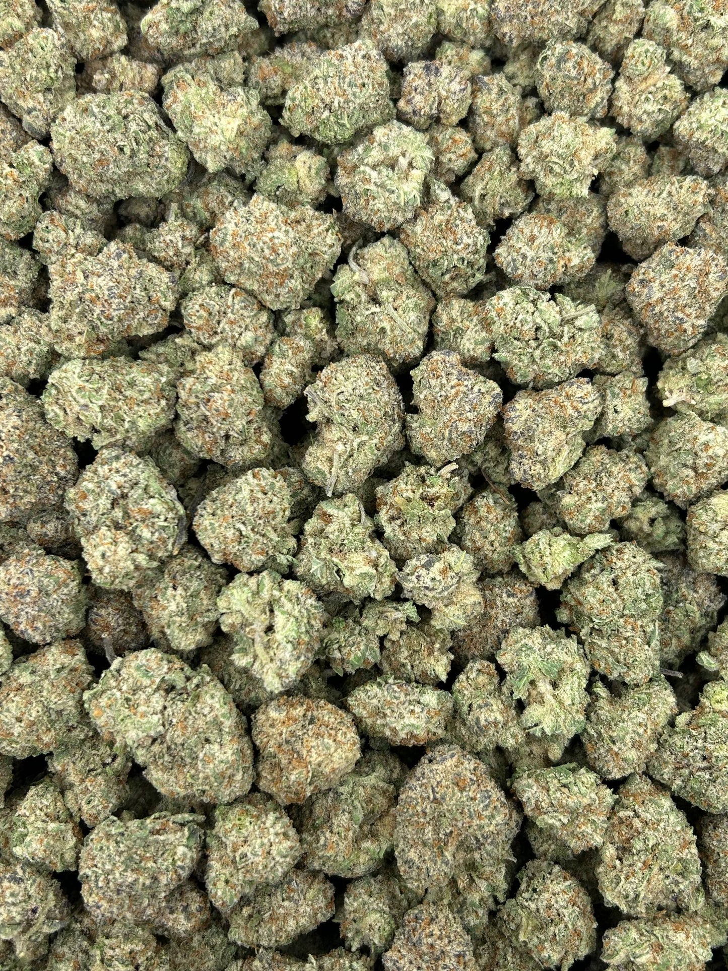 (#N-CM875) Berrylato Creme (Hybrid)