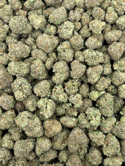 (#N-CM875) Berrylato Creme (Hybrid)