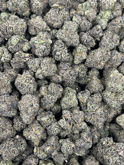 (#N-CM876) Blueberry Warp (Hybrid)