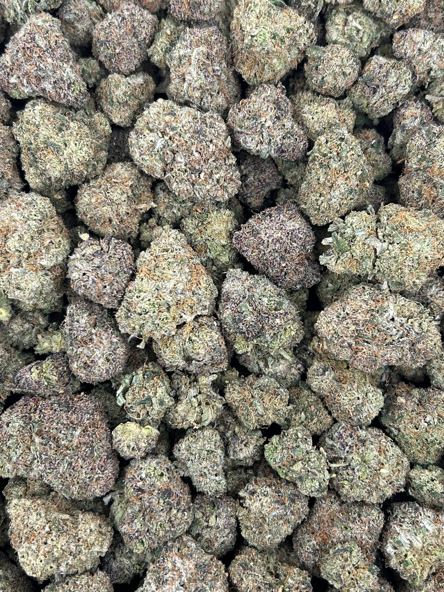 (#N-EA615) Double Berriez (Hybrid)