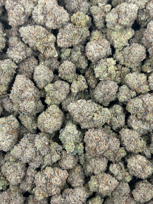 (#N-EA619) Lemon Cherry Gusherz (Hybrid)