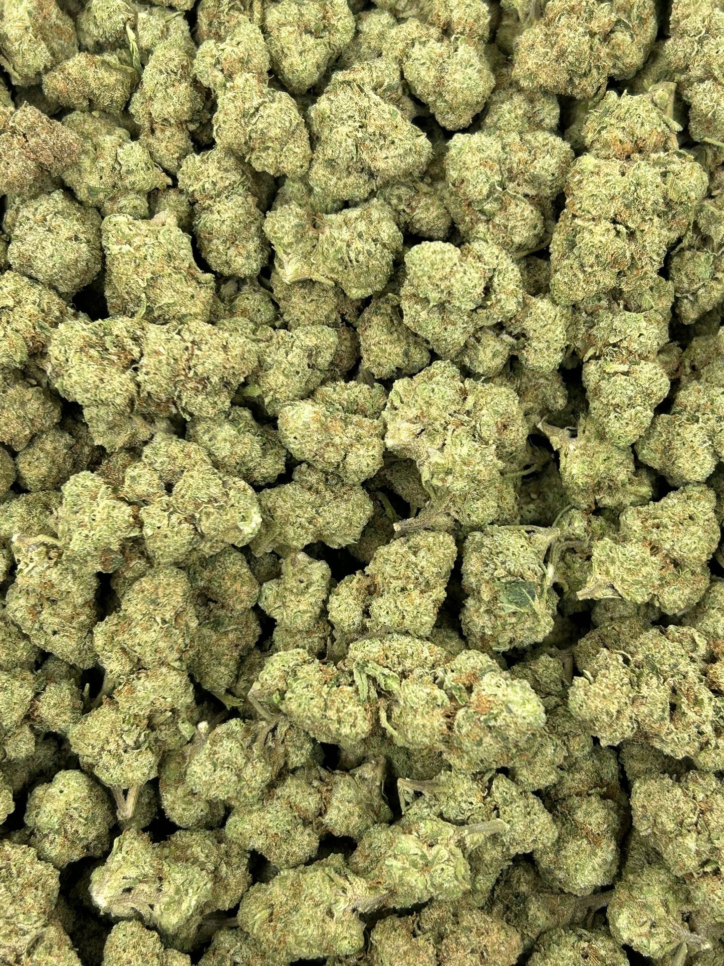 (#N-EB199) Apple Jacks (Hybrid)