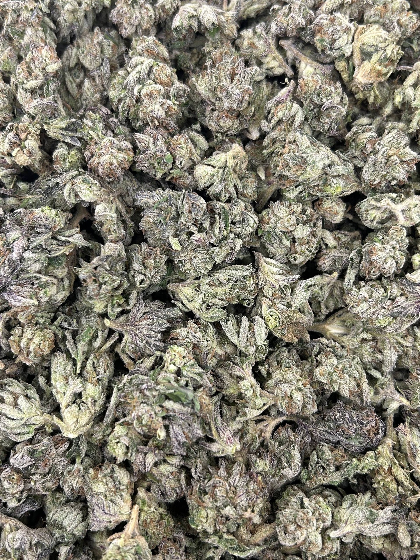 (#N-EB214) Forbidden Fruitloop Smalls (Indica)
