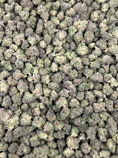 (#N-EC227) Creme Brulee Smalls (Indica)
