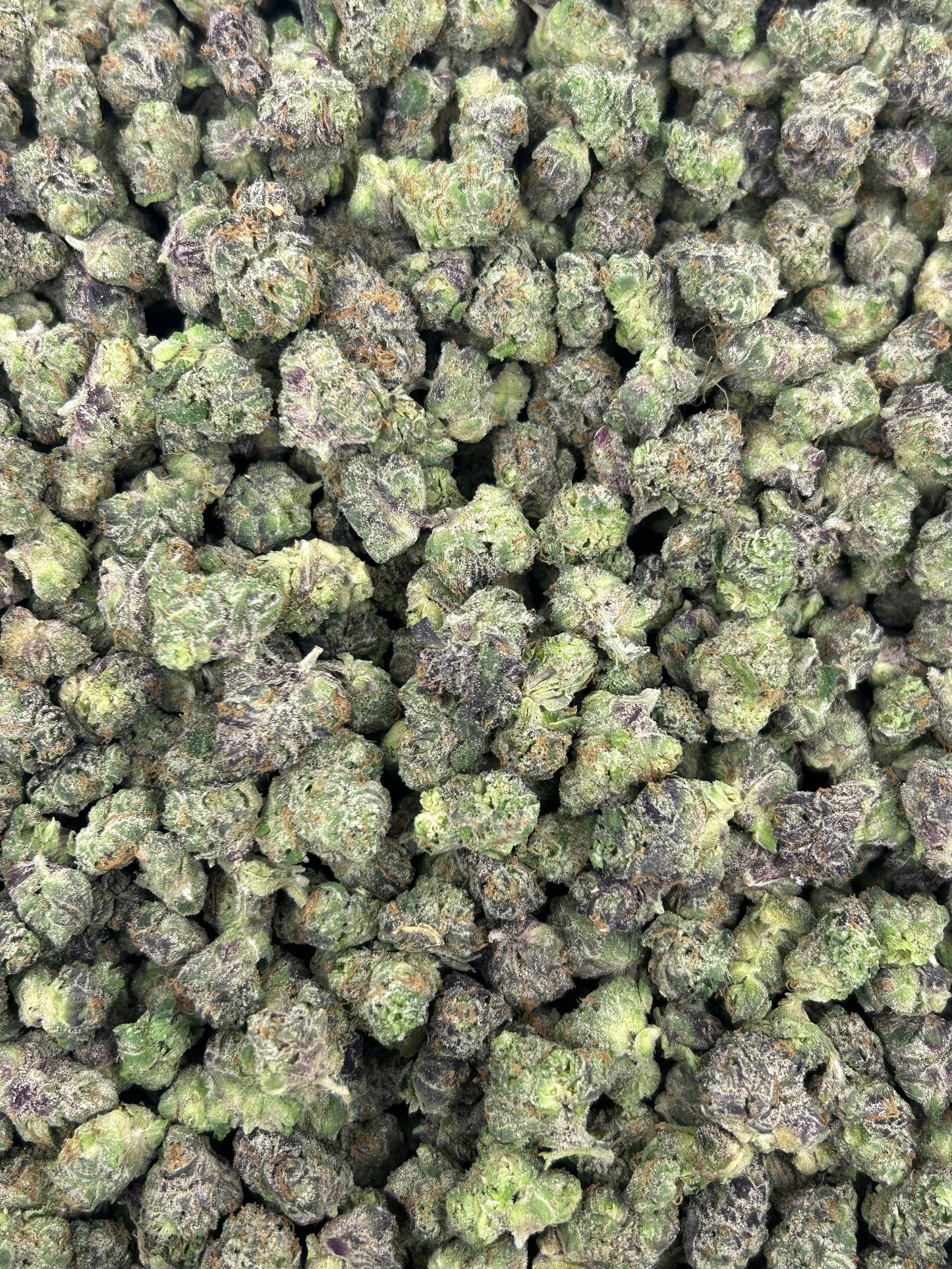 (#N-ECS231) Pink Starburst Smalls (Hybrid)