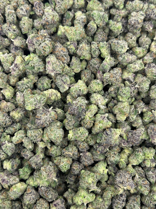 (#N-ECS231) Pink Starburst Smalls (Hybrid)