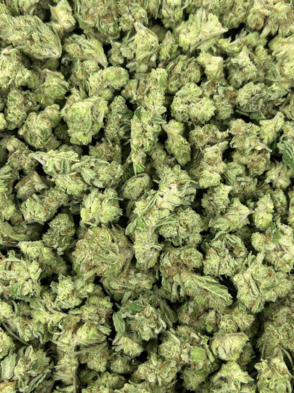 (#N-ECS233) Watermelon Sherbet Smalls (Indica Hybrid)