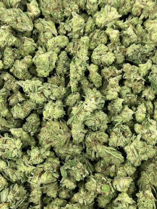 (#N-ECS233) Watermelon Sherbet Smalls (Indica Hybrid)