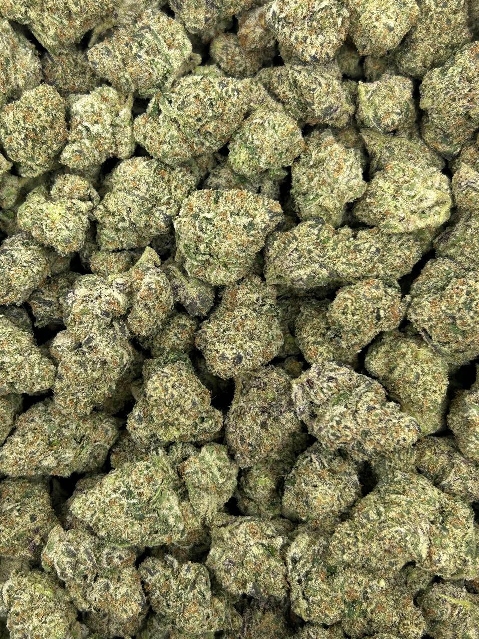(#Z-CM055) Metorite Cookiez (Sativa)