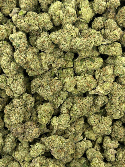 (#Z-EA025) Gelato Pop (Hybrid)