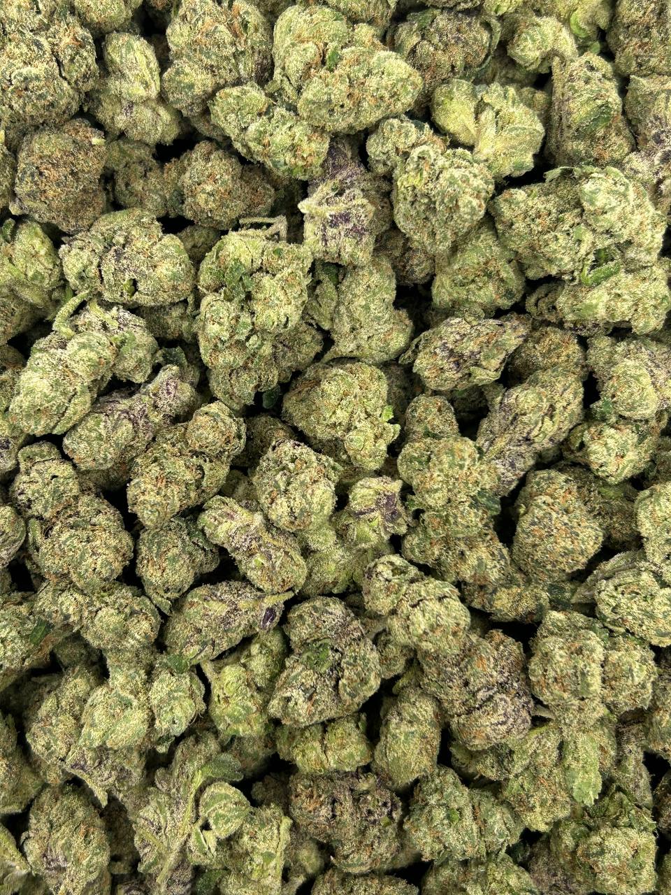 (#Z-EA026) Pineapple Zalato (Hybrid)