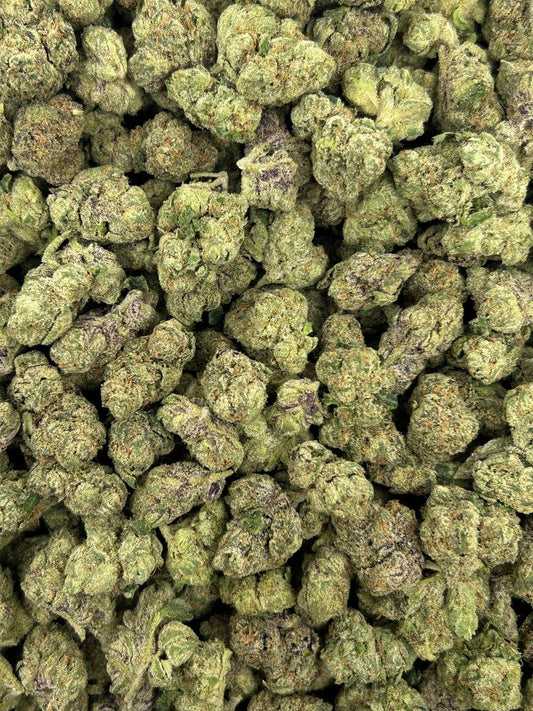 (#Z-EA026) Pineapple Zalato (Hybrid)