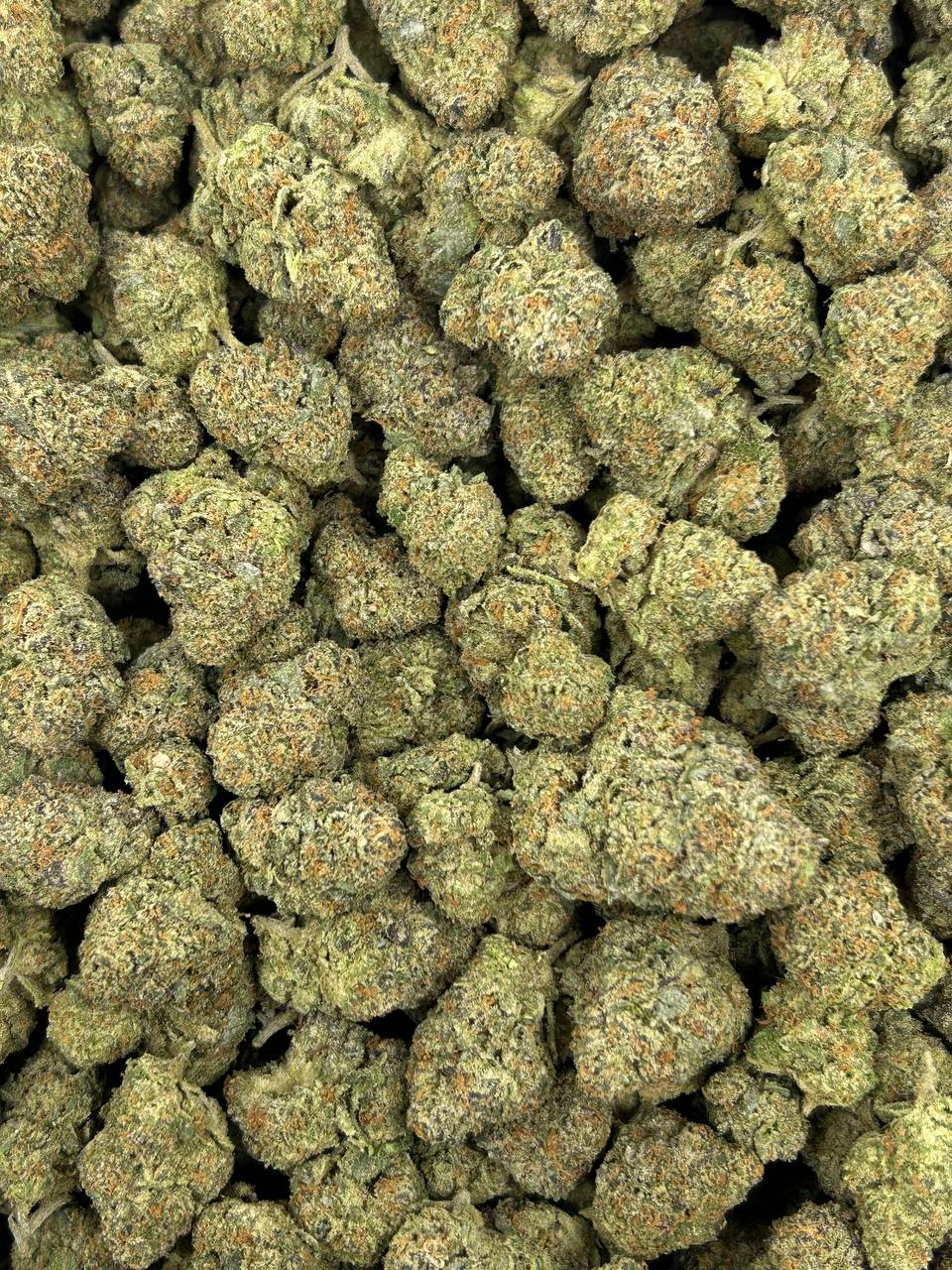 (#Z-EA027) Pop Rock Candiez (Hybrid)
