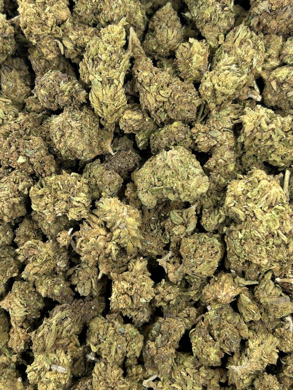 (#Z-EC045) Lemonhead Runtz (Sativa)