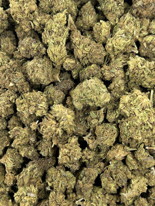 (#Z-EC045) Lemonhead Runtz (Sativa)