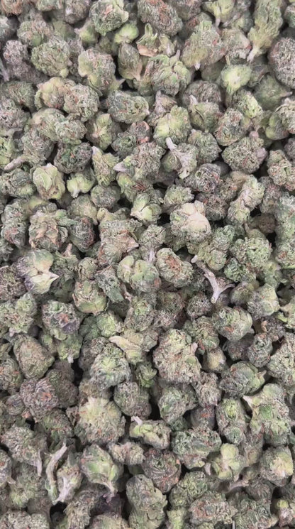 (#N-EC227) Creme Brulee Smalls (Indica)