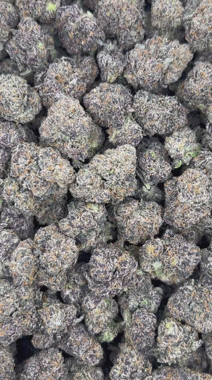 (#N-CH265) Raspberry Popsicle (Hybrid)
