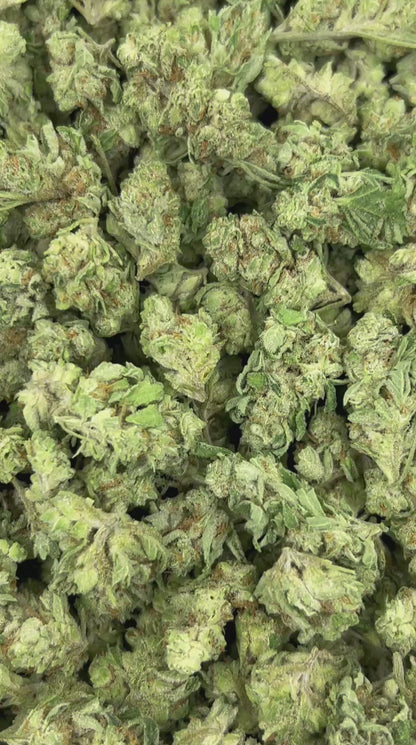 (#N-ECS233) Watermelon Sherbet Smalls (Indica Hybrid)