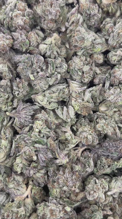 (#N-EB214) Forbidden Fruitloop Smalls (Indica)