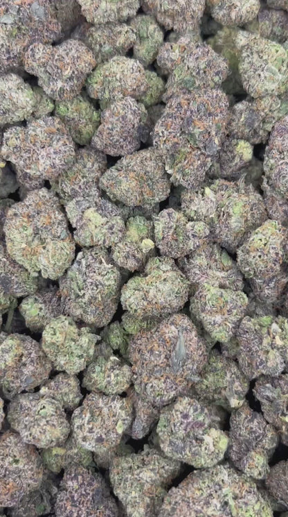 (#N-CM838) Space Cookiez (Hybrid)