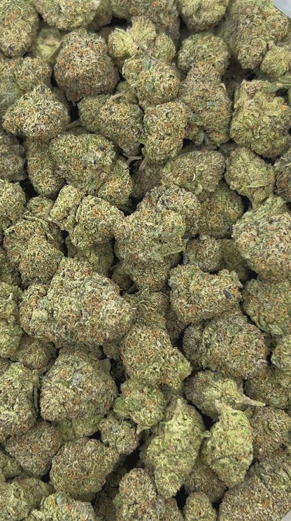 (#Z-EA027) Pop Rock Candiez (Hybrid)