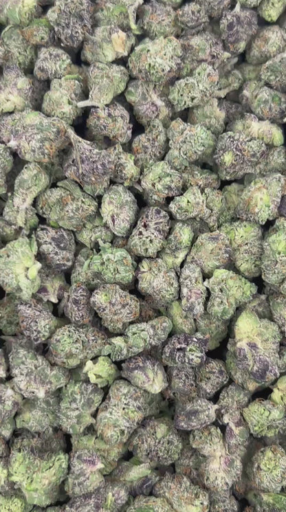 (#N-ECS231) Pink Starburst Smalls (Hybrid)