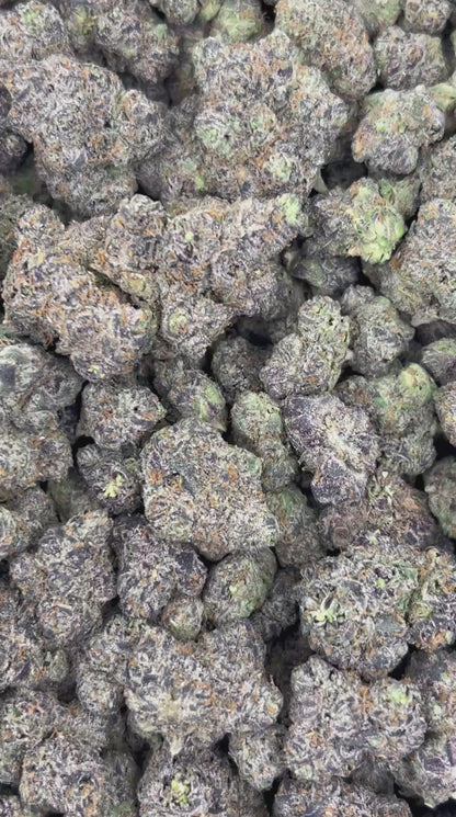 (#N-CH275) Gas Face (Hybrid)